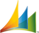 MS Dynamics NAV